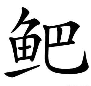 鲃